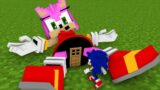 What inside this AMY ROSE Girl Door SONIC FNF –  Sonic help me I`m STUCK in Minecraft Animation