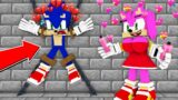 AMY ROSE THE MANIAC CAUGHT SONIC EXE but TAILS… SHOWER – | FNF Minecraft Animation