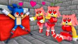 AMY ROSE THE MANIAC CAUGHT SONIC | FNF Minecraft Animation