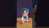 FNF Character Test x Gameplay VS Minecraft Animation VS Dorkly Sonic EXE Universe of Madness #shorts