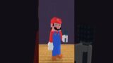 FNF Character Test x Gameplay VS Minecraft Animation VS Sad Mario Bros of Sega Queen #shorts