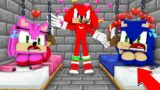 KNUCKLES THE MANIAC CAUGHT AMY ROSE AND SONIC but TAILS… SHOWER – | FNF Minecraft Animation