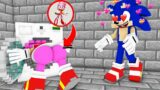 SONIC THE MANIAC CAUGHT AMY ROSE IN WASHING MACHINE – FNF Minecraft Animation