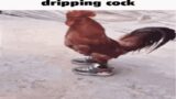 FNF Vs. Dripping Cock – Drip