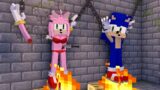 Sonic Saving Amy Rose from Rainbow Friends – Sad Wheel of Fortune FNF Corrupted Minecraft Animation