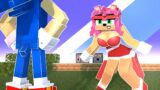Chibi Sonic and Tails Amy Knuckles The Hedgehog | FNF Minecraft Animation Zero Two Dodging meme