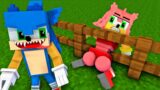FNF Chibi Sonic & Tails Amy Knuckles vs Wheel Of Fortune! | FNF Minecraft Animation Zero Two Dodging