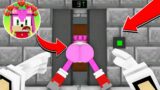 SONIC THE MANIAC CAUGHT AMY ROSE but KNUCKLES… ELEVATOR STUCK | FNF Minecraft Animation