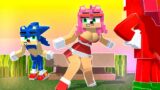 The Murder Of Sonic The Hedgehog – FNF Sonic EXE – Chibi Sonic the Hedgehog 2 Animation Minecraft