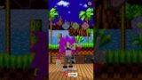 FNF Character Test x Gameplay VS Minecraft Animation VS Sonic EXE Fast Hedgehog #shorts