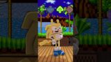 FNF Character Test x Gameplay VS Minecraft Animation VS Sonichu in Green Hill Zone Sega CD #shorts