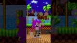 FNF Character Test x Gameplay & Minecraft Animation VS Sonic.EXE Coldsteel Nothing Personnel #shorts