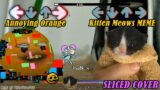 FNF Sliced But Kitten Meows MEME VS Corrupted Annoying Orange Sing it | kitten in towel meme Cover