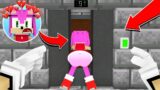 SONIC THE MANIAC CAUGHT AMY ROSE but KNUCKLES… ELEVATOR STUCK | FNF Minecraft Animation