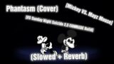Phantasm (Cover) // Slowed + Reverb [VS Sunday Night Suicide 2.5 FANMADE Build] (FNF Mod)