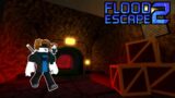 playing games on roblox/friday night funkin