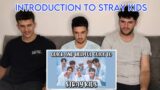 FNF Reacting to QUICK AND HELPFUL GUIDE TO STRAY KIDS 2021 EDITION | STRAY KIDS REACTION