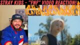 STRAY KIDS – "FNF" Video Reaction!