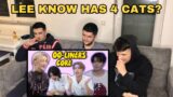 FNF Reacts to Lee Know With His 4th Cat | STRAY KIDS REACTION