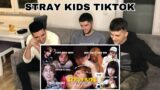 FNF Reacts to Stray Kids TikTok that made me Giggle | KPOP REACTION