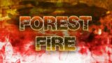 Forest Fire – Pantheon of the Stars – Friday Night Funkin'